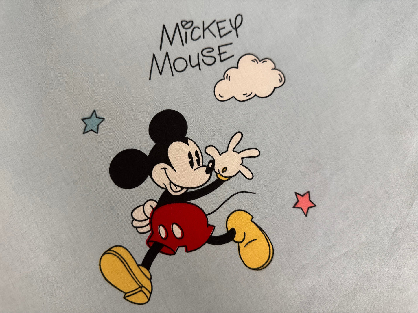 Retro RWB Mickey & Minnie Tops