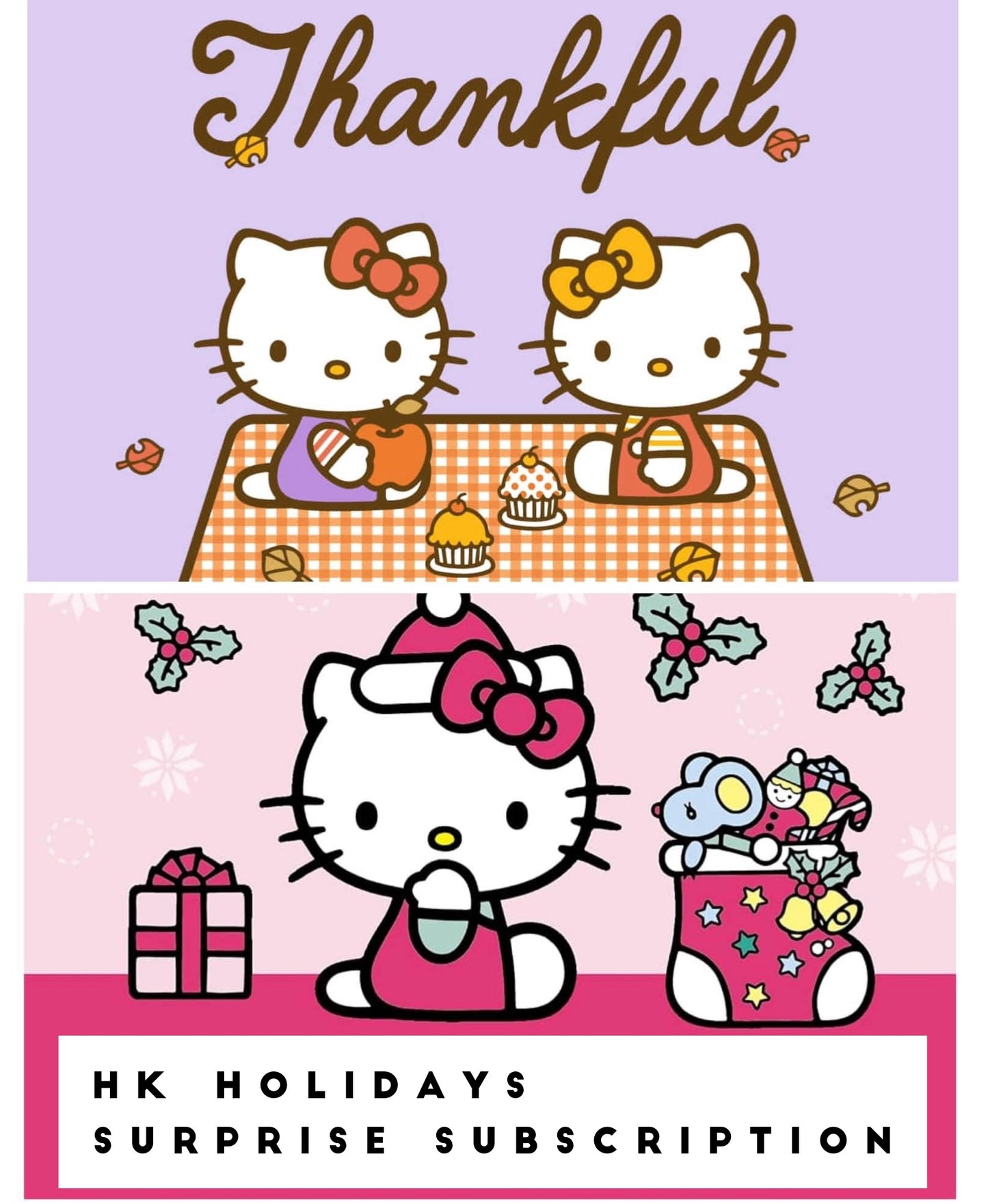 HK Holidays Surprise Subscription