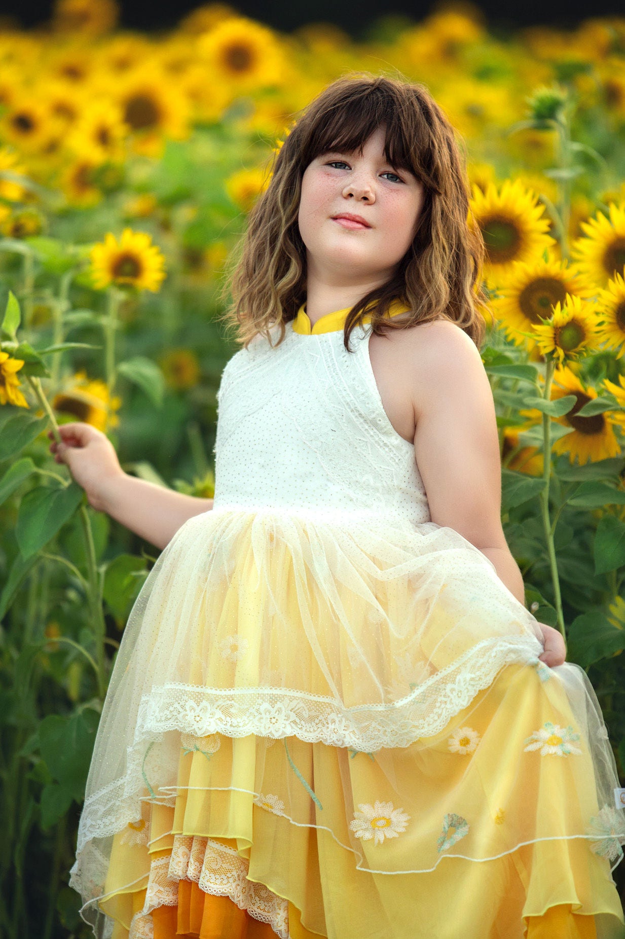 Citrine Sun