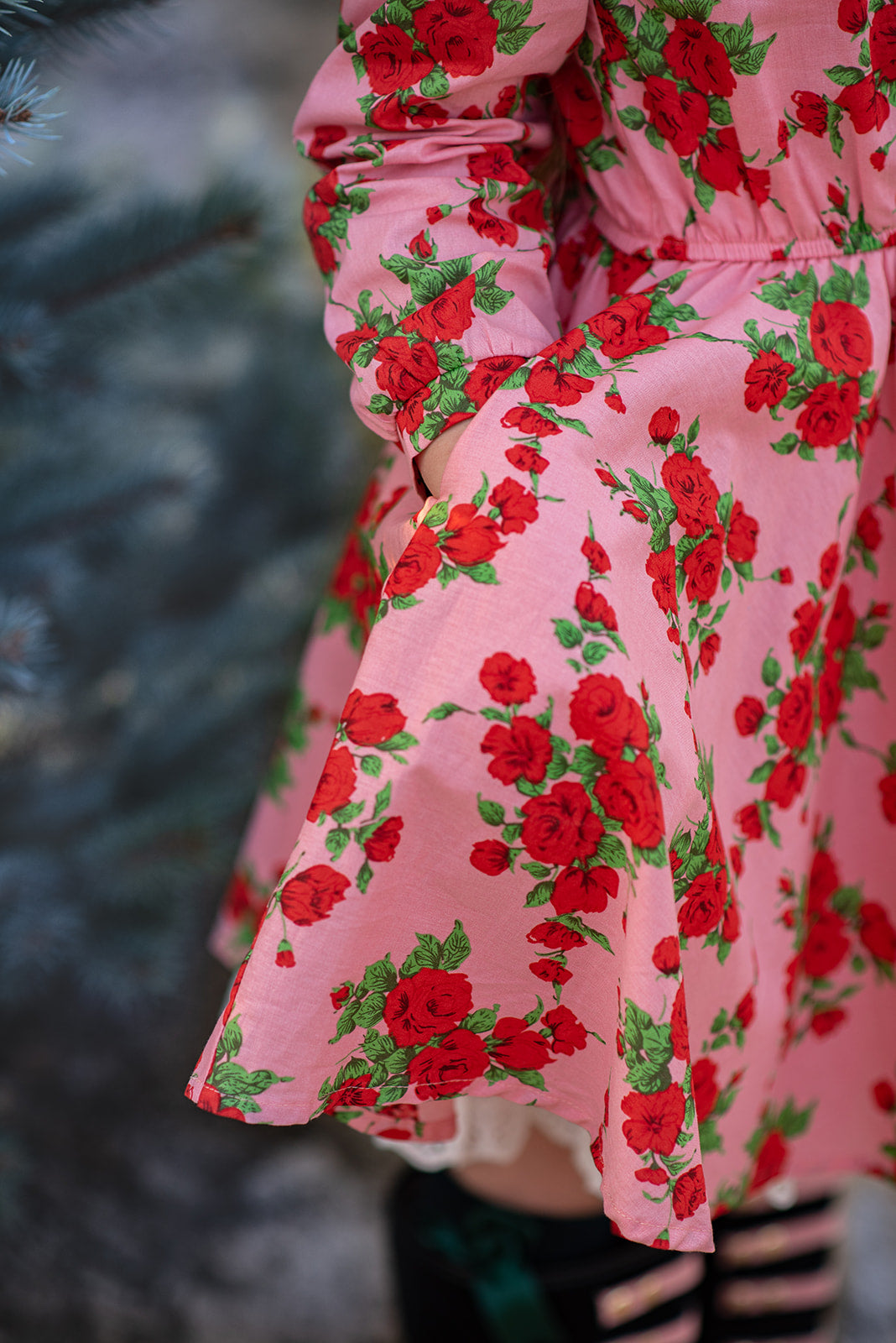Red Roses
