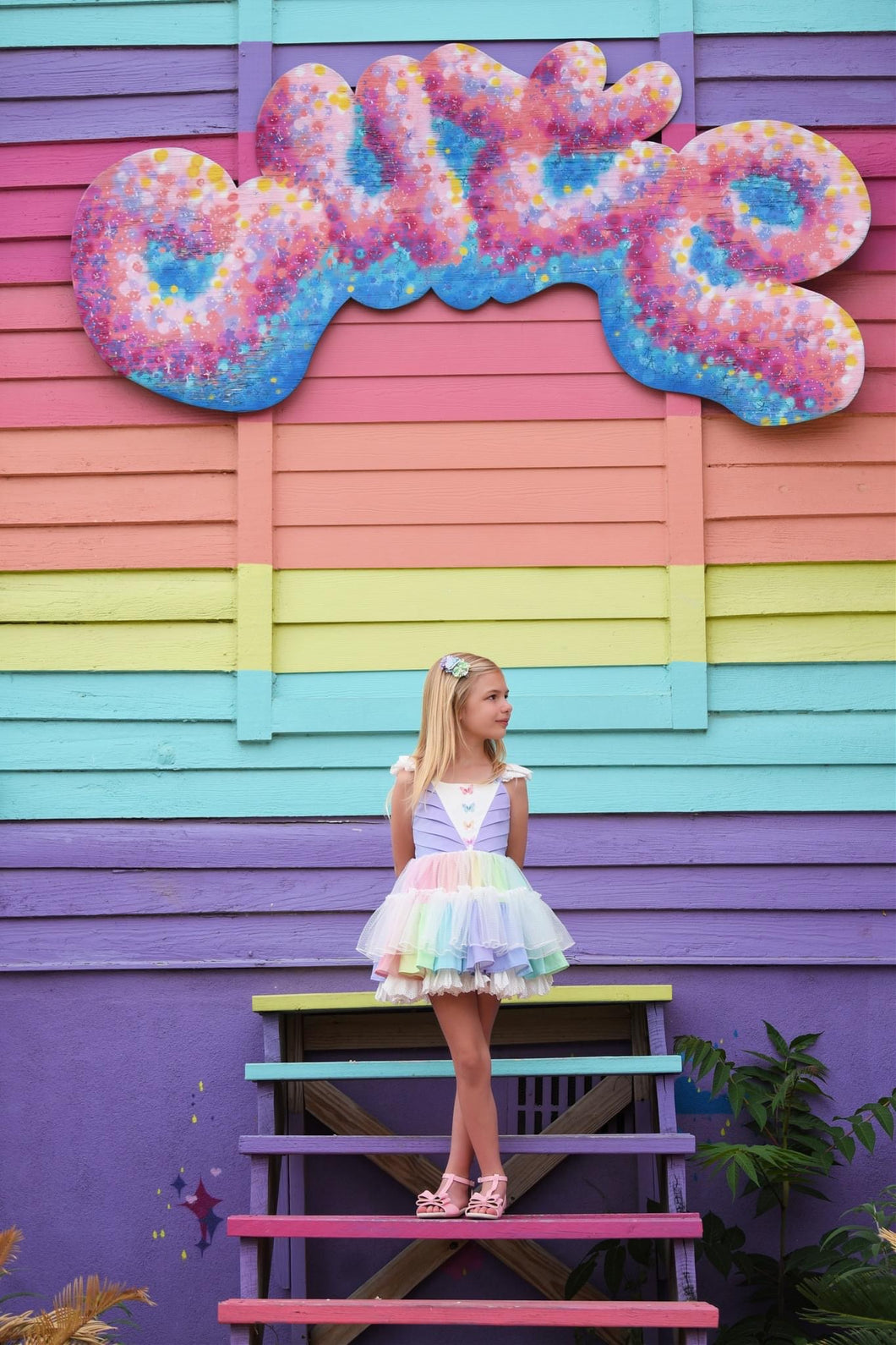 Rainbow Petals